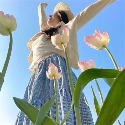 绿鸡蛋和绿火腿第二季